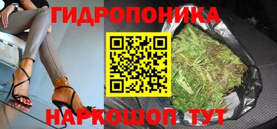 стафф Пенза
