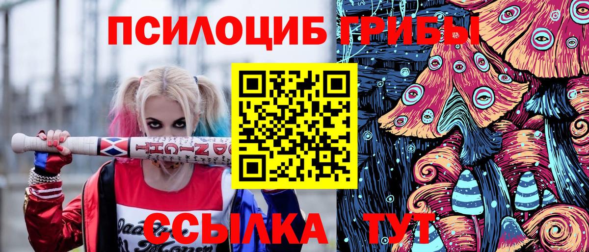 Пушкино  Псилоцибиновые грибы Psilocybine cubensis  Вход с VPN 
